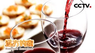 《远方的家》一带一路(395)希腊 葡萄酒的故乡 20180710 | CCTV中文国际