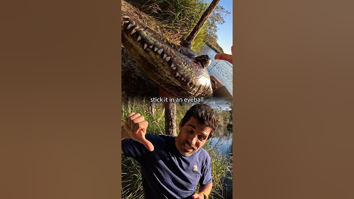How to Survive a Croc Attack