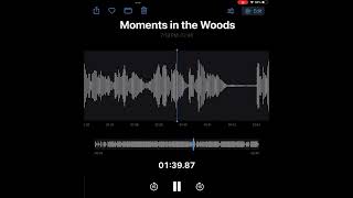 Moments in the Woods-Into the Woods cover