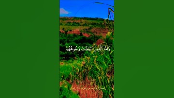 تلاوة تفوق الوصف #islamic_video #تلاوة #المصحف #islamicquan #duet #aslam #trend #اكسبلور