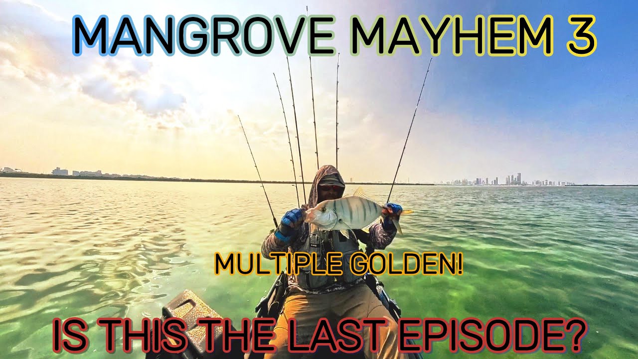 MANGROVE MAYHEM 3 IS THIS THE LAST EPISODE?