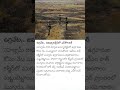 22 may 25 #news #army #latestnews