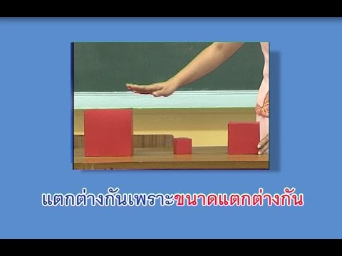 เทคนิคการสอนที่ทำให้เด็กเข้าใจคณิตศาสตร์ได้ง่าย ชั้น ป.1 : การสังเกตและการจำแนก