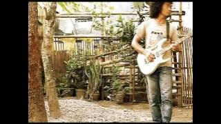 PLEDECK - PETEN HALA