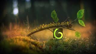 Spring Leaves Logo | After Effects template