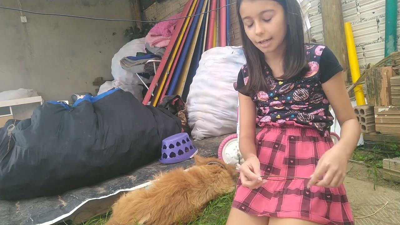 Ajudem nossa cachorrinha Céu 💖