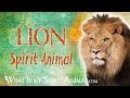 الأسد الحيوان الروحي طوطم الأسد وحيوان القوة رمزية الأسد ومعانيه