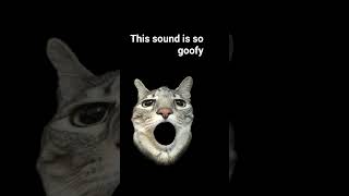 this sound is so goofy