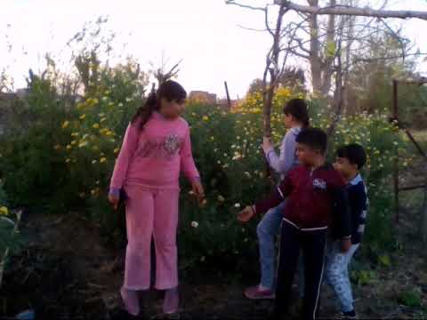 لو تعرفوا بنحبكم كده اد إيه