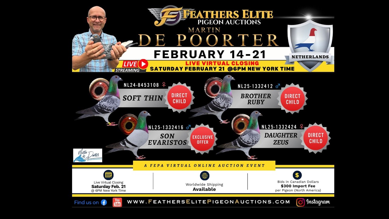 FEPA LIVE VIRTUAL CLOSING-MARTIN DE POORTER