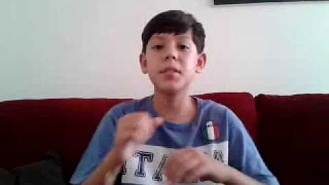 Qual é o tipo de camuflagem da zebra?