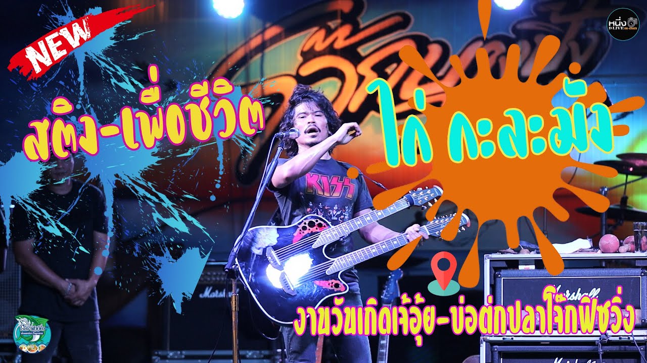 แสดงสด⚡⚡⚡สตริง + เพื่อชีวิต  #ไก่_กะละมัง