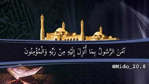 حالات واتس اب دينية /آيات من القرآن الكريم /بصوت القارئ الشيخ سعد الغامدي