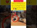 New information about the Supreme Leader emerged today#edit #trend #army #yt #shorts #soljar#fyp#fun