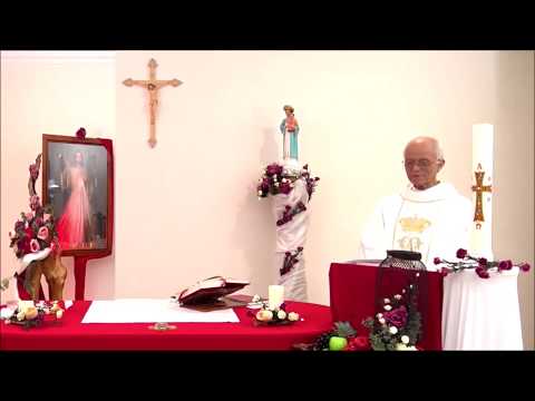 Video CÁCH NHÌN ĐÚNG VỀ LÒNG CHÚA THƯƠNG XÓT-CN II MÙA PS... - youtube