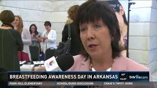 Breastfeeding Awareness Day at the Capitol