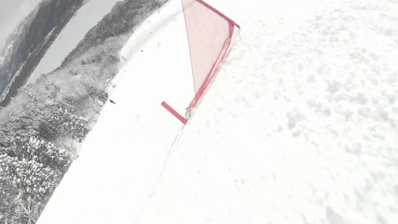 JSBA第29回全日本スノーボード選手権大会GS前走１本目バージョン１