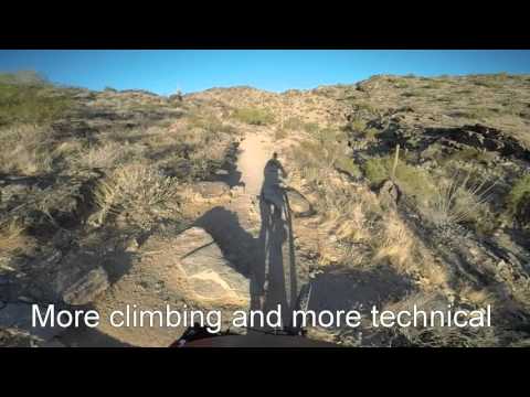 Javelina, Mormon Loop, National by Troy Castorena