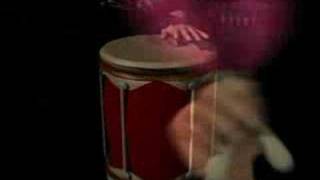 The New Bongo Beat Original Music