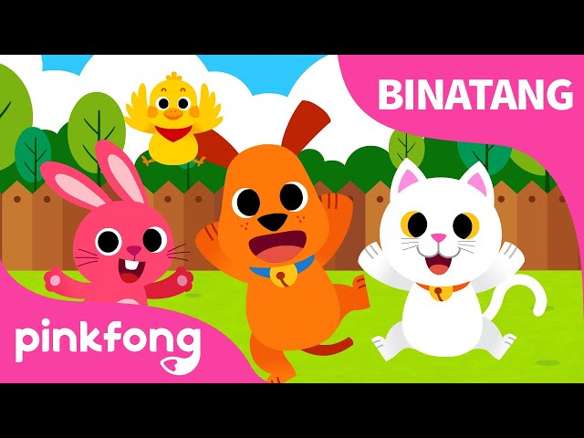 Bayi Binatang | Lagu Binatang & Hewan | Lagu Anak Bahasa Indonesia | Pinkfong dan Baby Shark class=