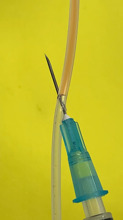 Blowing Veins 💥🩸Part 2 #funfacts #goodtoknow #vet #medicine #educational #blood #phlebotomy