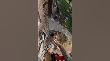 Fanning Method VS Dive Bomb | BEST SQUEEGEE TECHNIQUES  #windowcleaning #satisfying