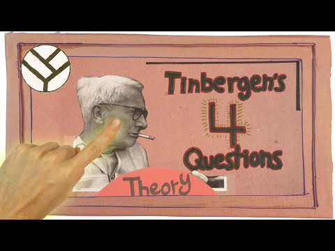 Niko Tinbergen&rsquo;s 4 Questions