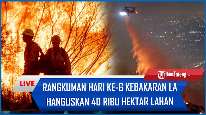 🔴Rangkuman Hari ke-6 Kebakaran LA: Hanguskan 40 Ribu Hektar Lahan, Api Makin Meluas