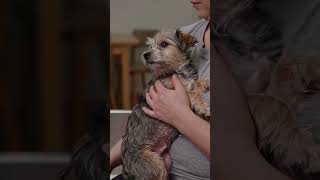 Beautiful rescue! 😊