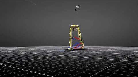 3D Gait Analysis sample | 3DMA
