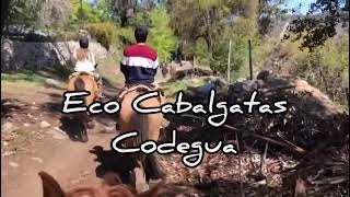 Quieres relajarte? te recomiendo las Eco Cabalgatas Codegua. Un panorama familiar.