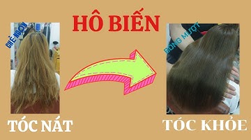 Bí Quyết Để Phục Hồi Tóc Trong 10 Phút? Huynh Nguyễn