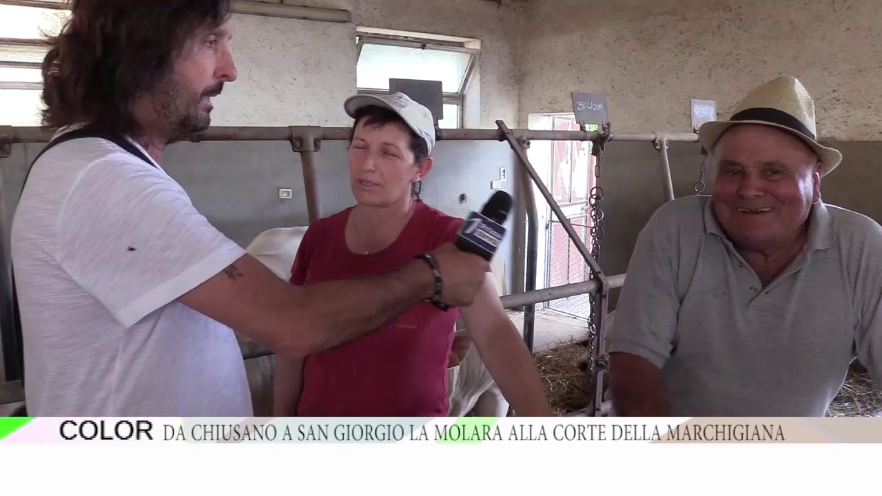 Color. Da Chiusano a San Giorgio La Molara... alla corte della Marchigiana