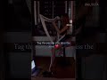 #harp #snowfall #shortvideo #mood #nightvibes #instrumental #musicshorts #hearttouching