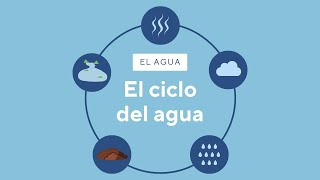 El esquema del ciclo del agua: Las 5 fases principales - Peñaclara -  Naturaleza viva
