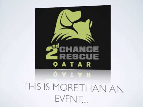 2nd chance example