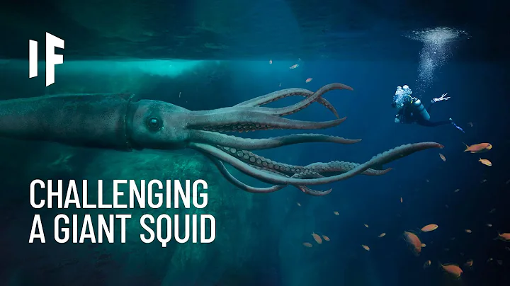 What If You Were Attacked by a Giant Squid? - DayDayNews