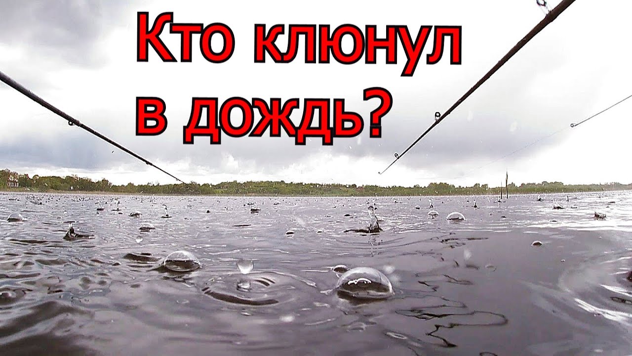 Рыбный дождь спортивная ловля. Рыбалка в мае. Рыбалка в дождь. Ловля карпа на Воблер. Fishing Rain советы.