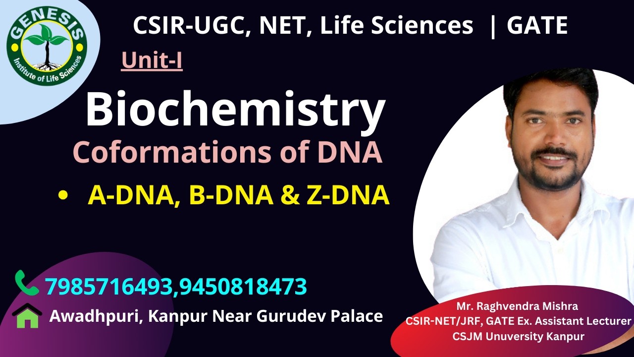 A-DNA, B-DNA & Z-DNA | DNA Supercoiling | Biochemistry#genesis_institute#csir#csirnet #lifescience