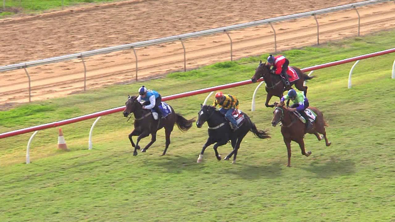 Barrier Trials 6 900m Rockhampton 24/6/2019 YouTube
