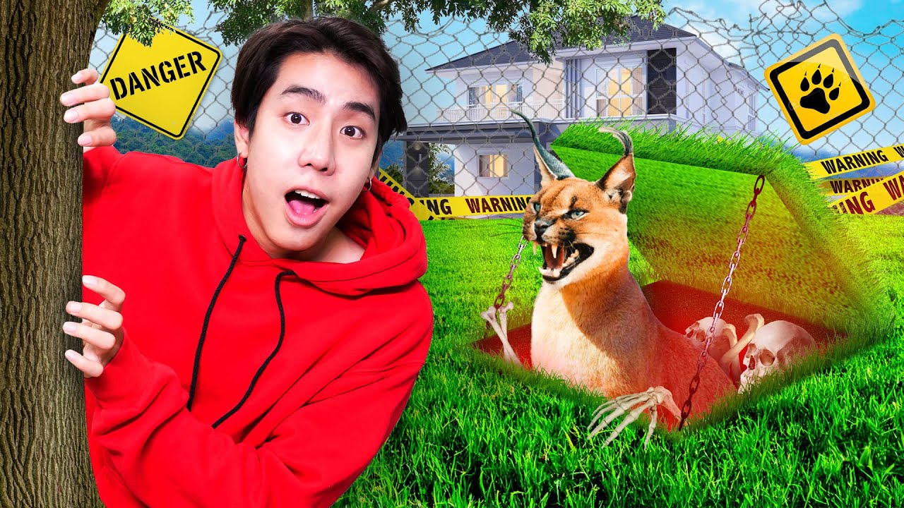 $1 VS $10,000 SECRET ROOM FOR MY CARACAL!!!
