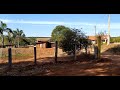 Sitio Sertãozinho com plantas animais verduras aves interior Minas Gerais