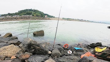 T167 - Câu cá tự nhiên đập thủy điện Hòa Bình, báo cá chép khủng cho anh trai@1982fishing​