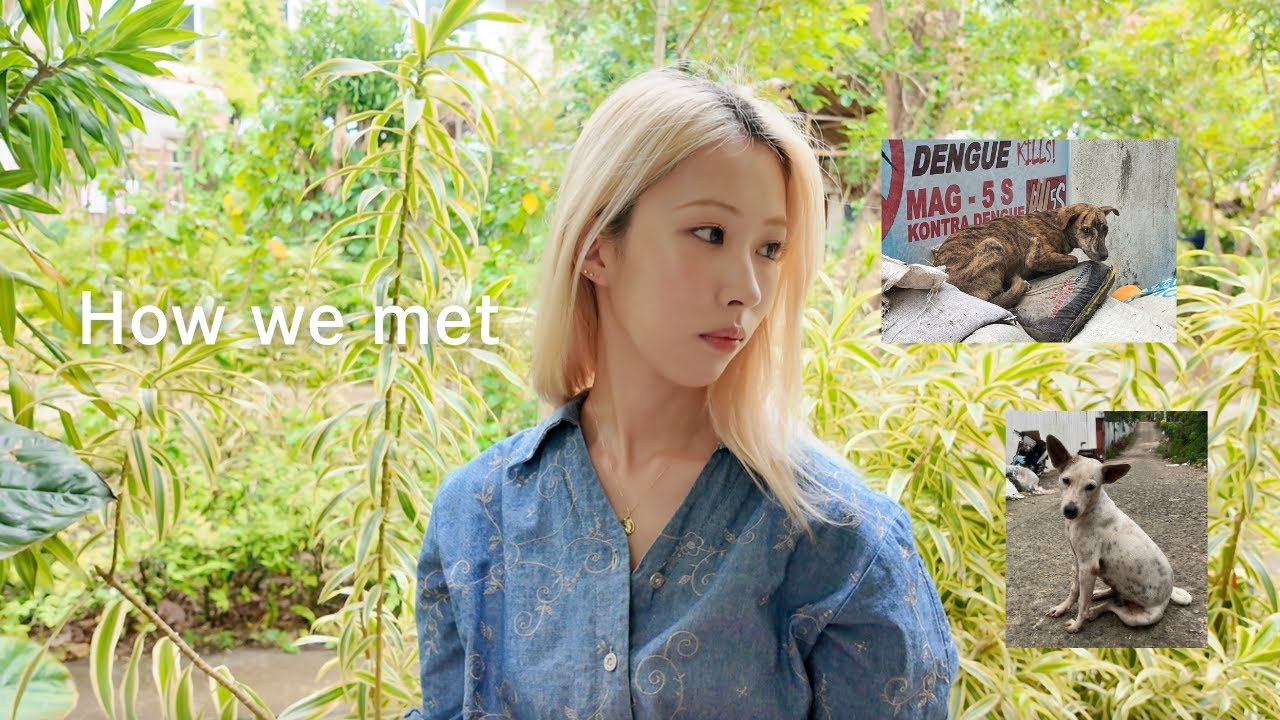 私たちの出会い｜保護するまでの葛藤と経緯