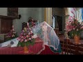 EN VIVO: Santa Eucaristía - Memoria de San Miximiliano Ma. Kolbe