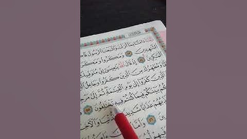 سورة آل عمران من الآية 53 إلى الآية 61