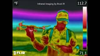 BRUNI INFRARED Python hunt