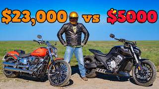 Cheap vs Expensive Cruiser: How Close Was It