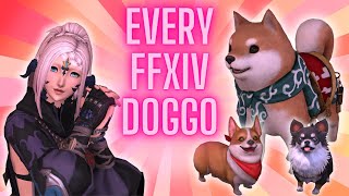 Every Dog Mount and Minion in FFXIV and How to Get Them