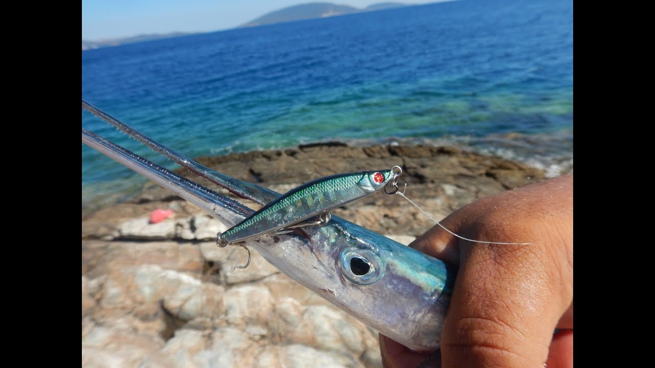 Micro Sinking Pencils and Garfish! Live Strikes! Feat ΖΕΝΑQ DAMPER S90RG